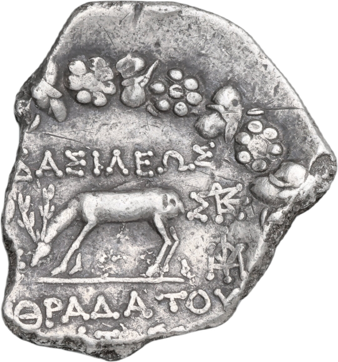 Rovescio moneta