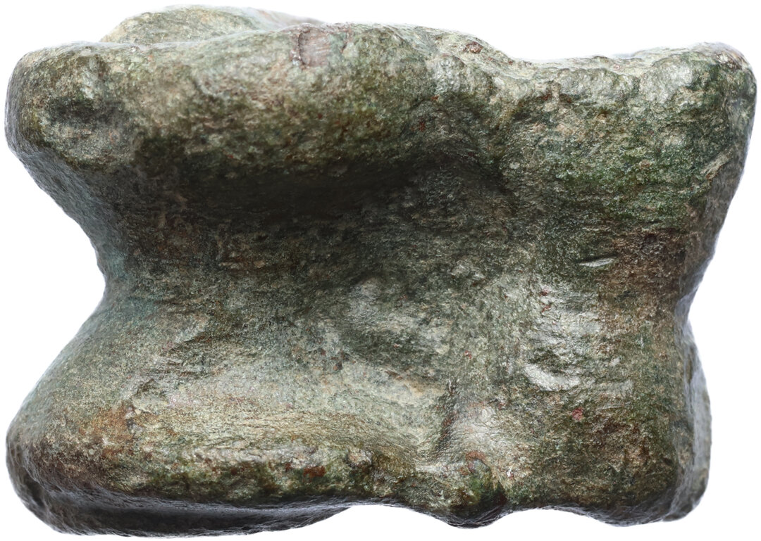 Dritto moneta
