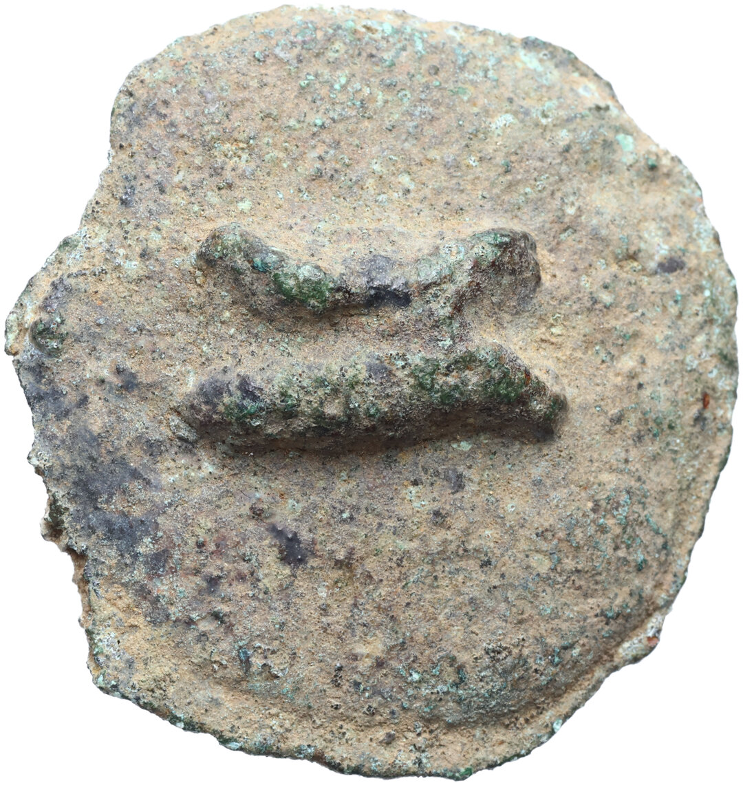 Dritto moneta