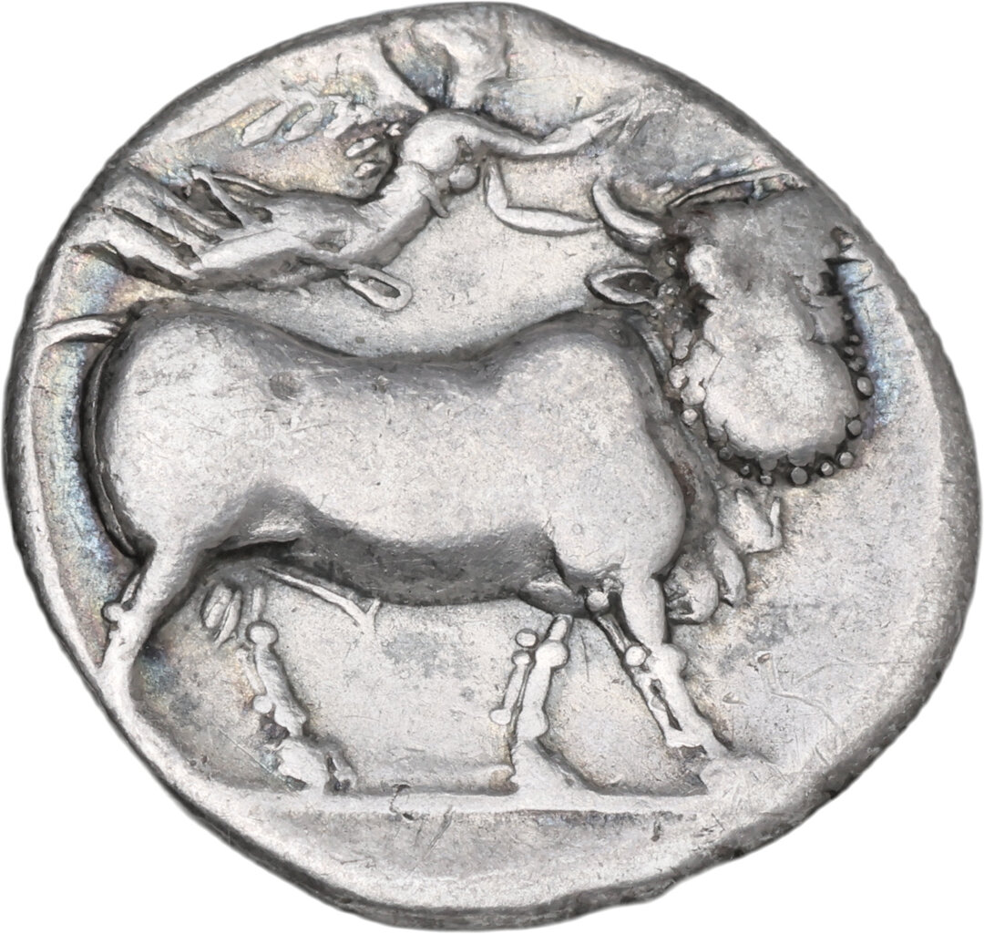 Rovescio moneta