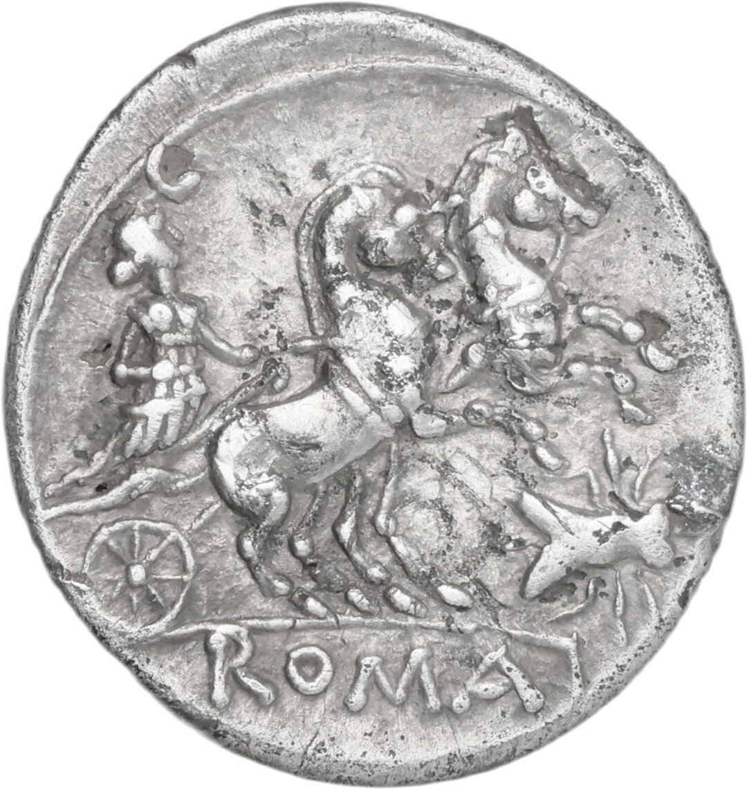 Rovescio moneta