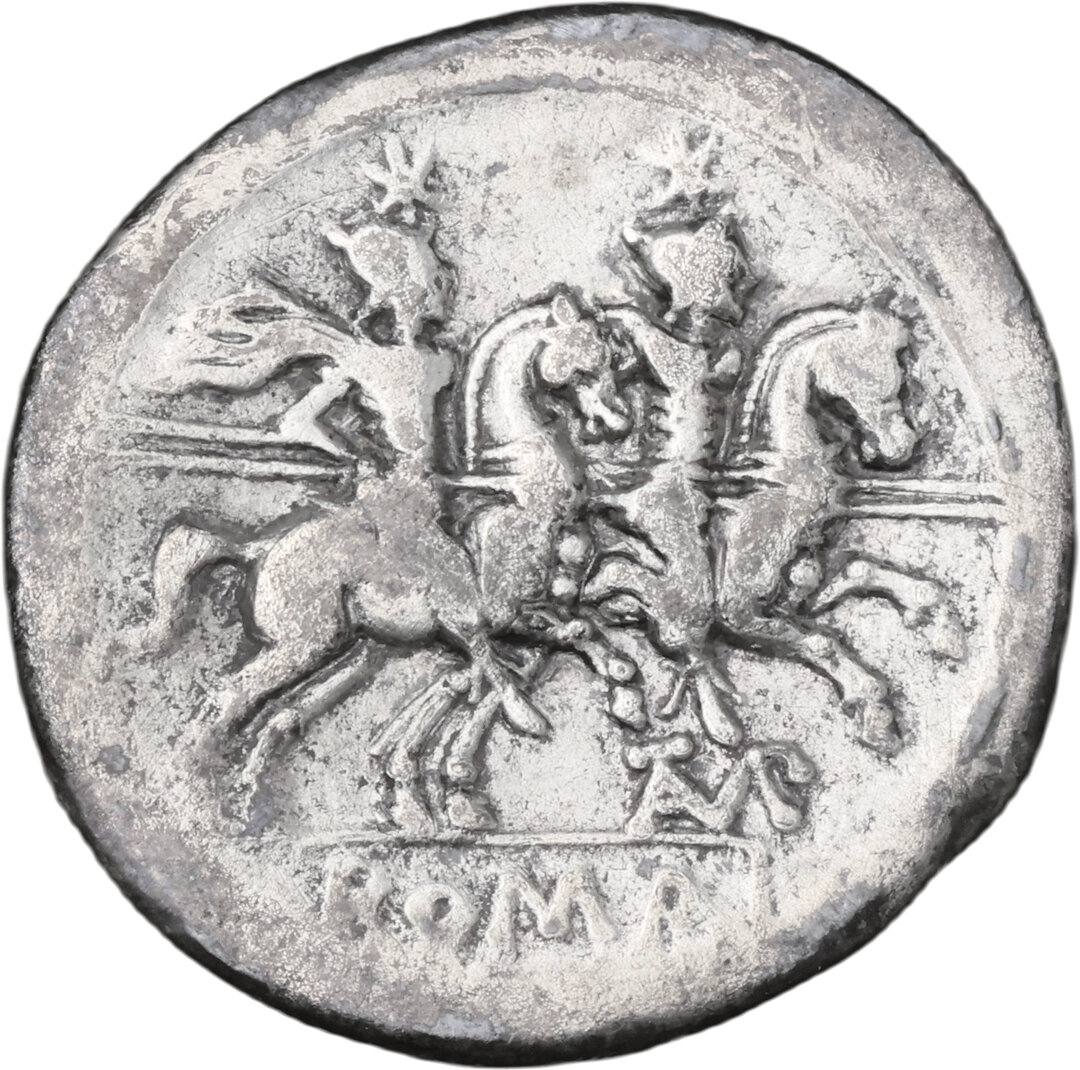 Rovescio moneta
