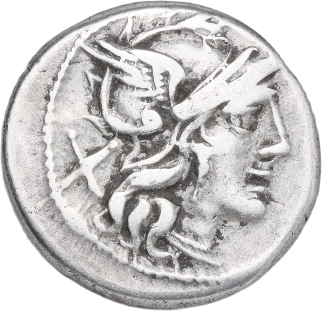 Dritto moneta