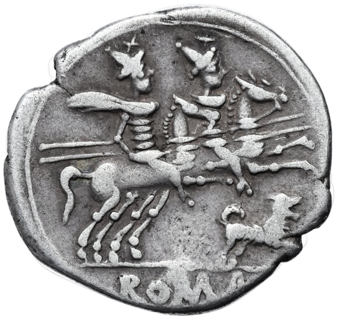 Rovescio moneta
