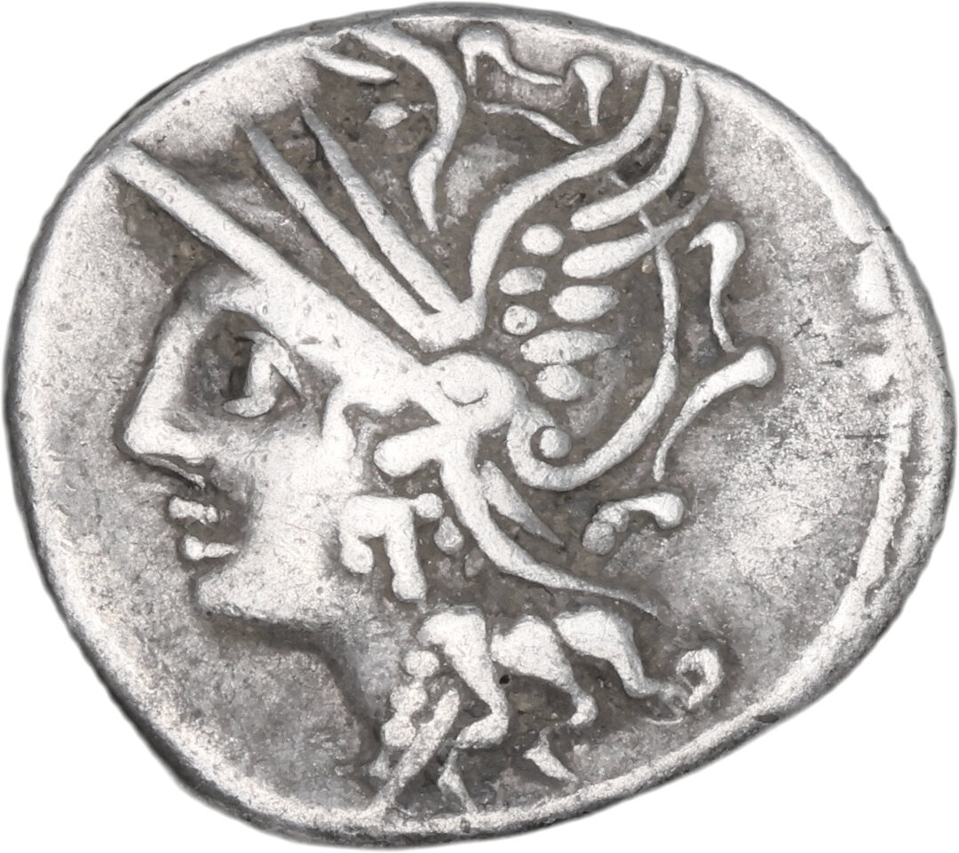 Dritto moneta