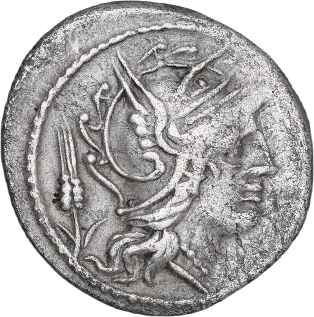 Dritto moneta