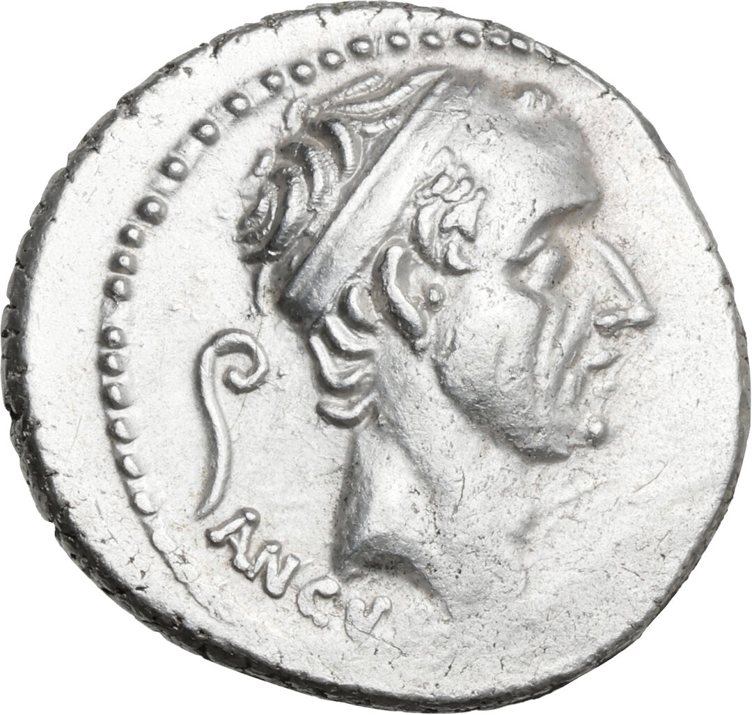 Dritto moneta