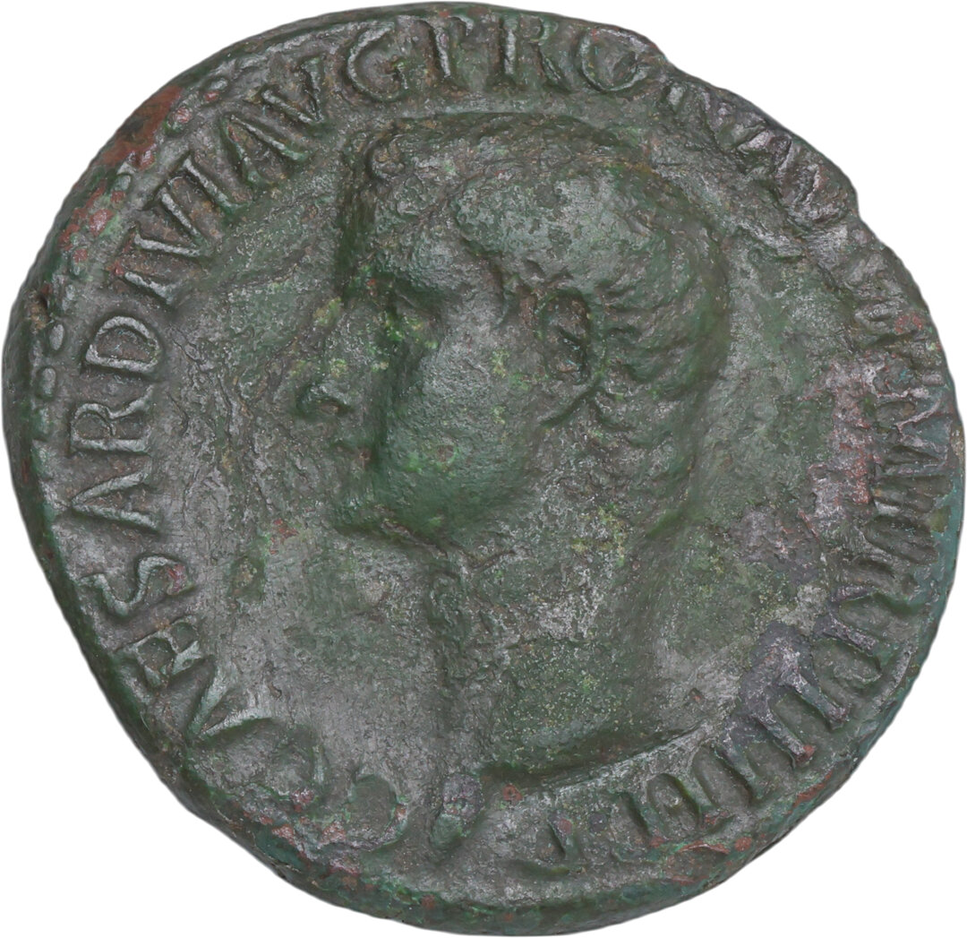 Dritto moneta