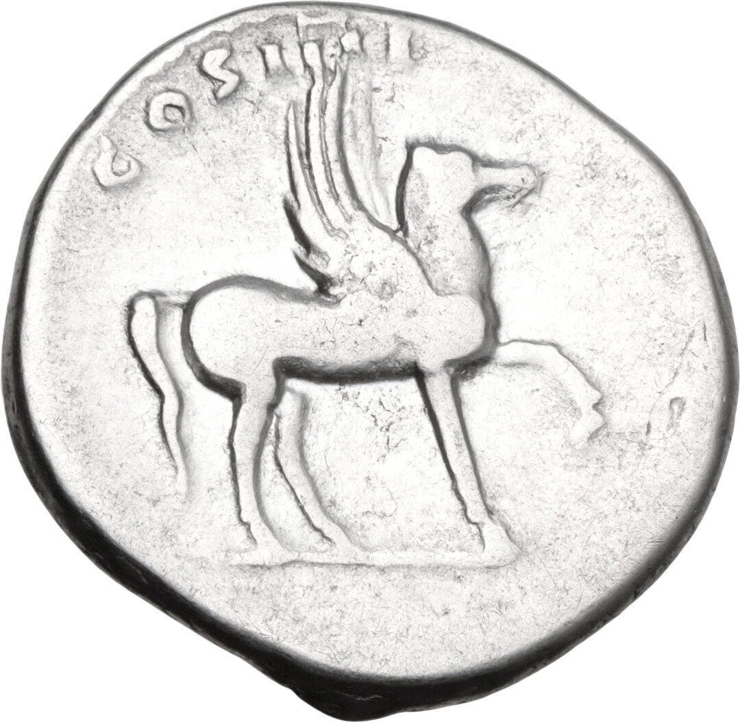Rovescio moneta