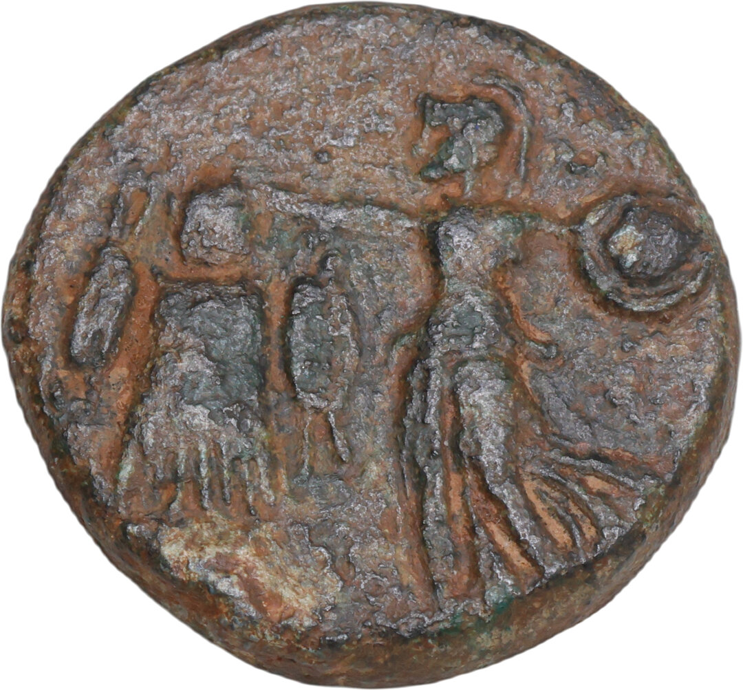 Rovescio moneta