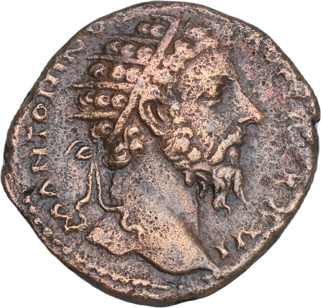 Dritto moneta