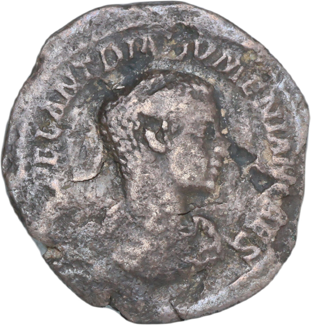 Dritto moneta