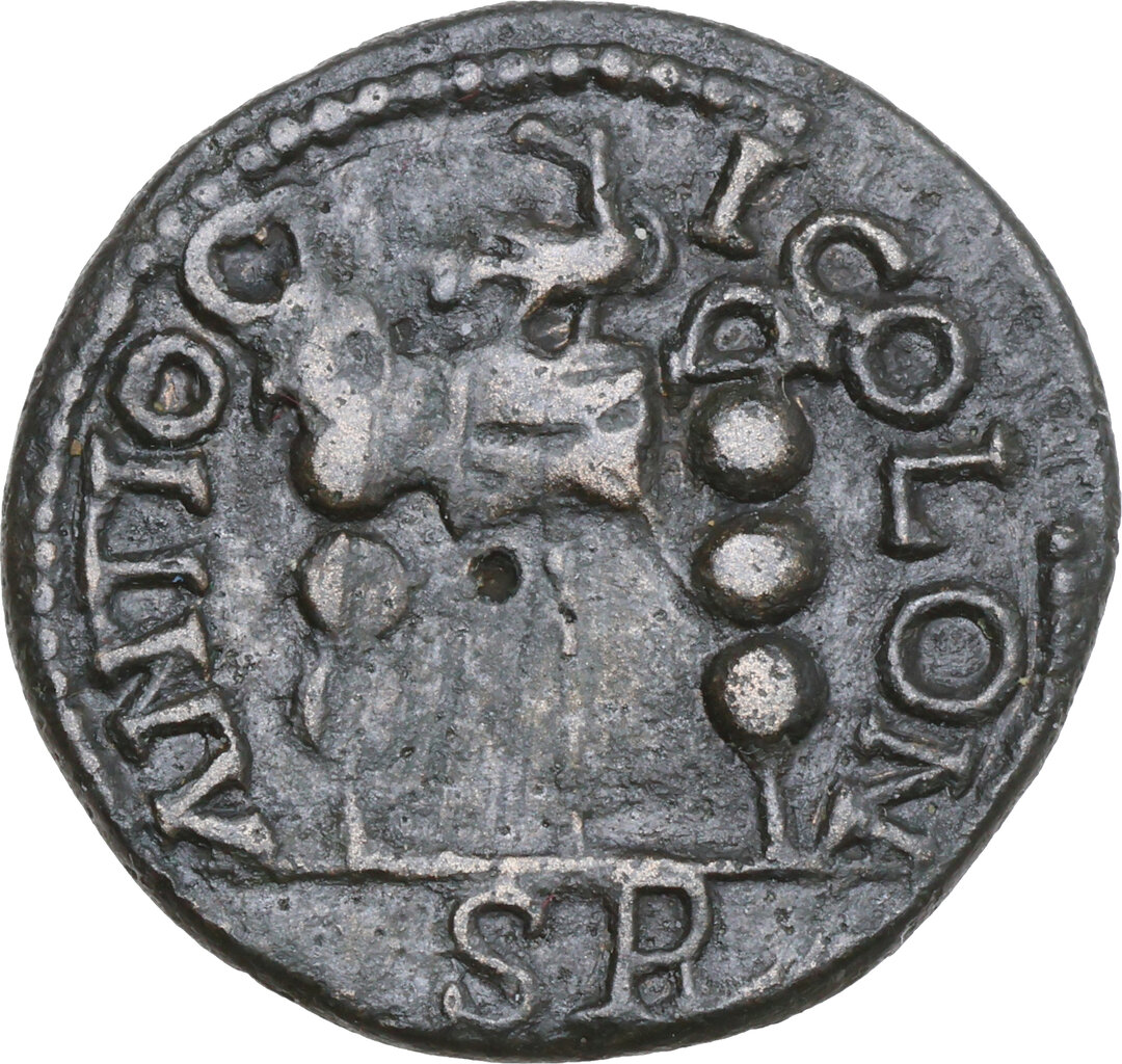 Rovescio moneta