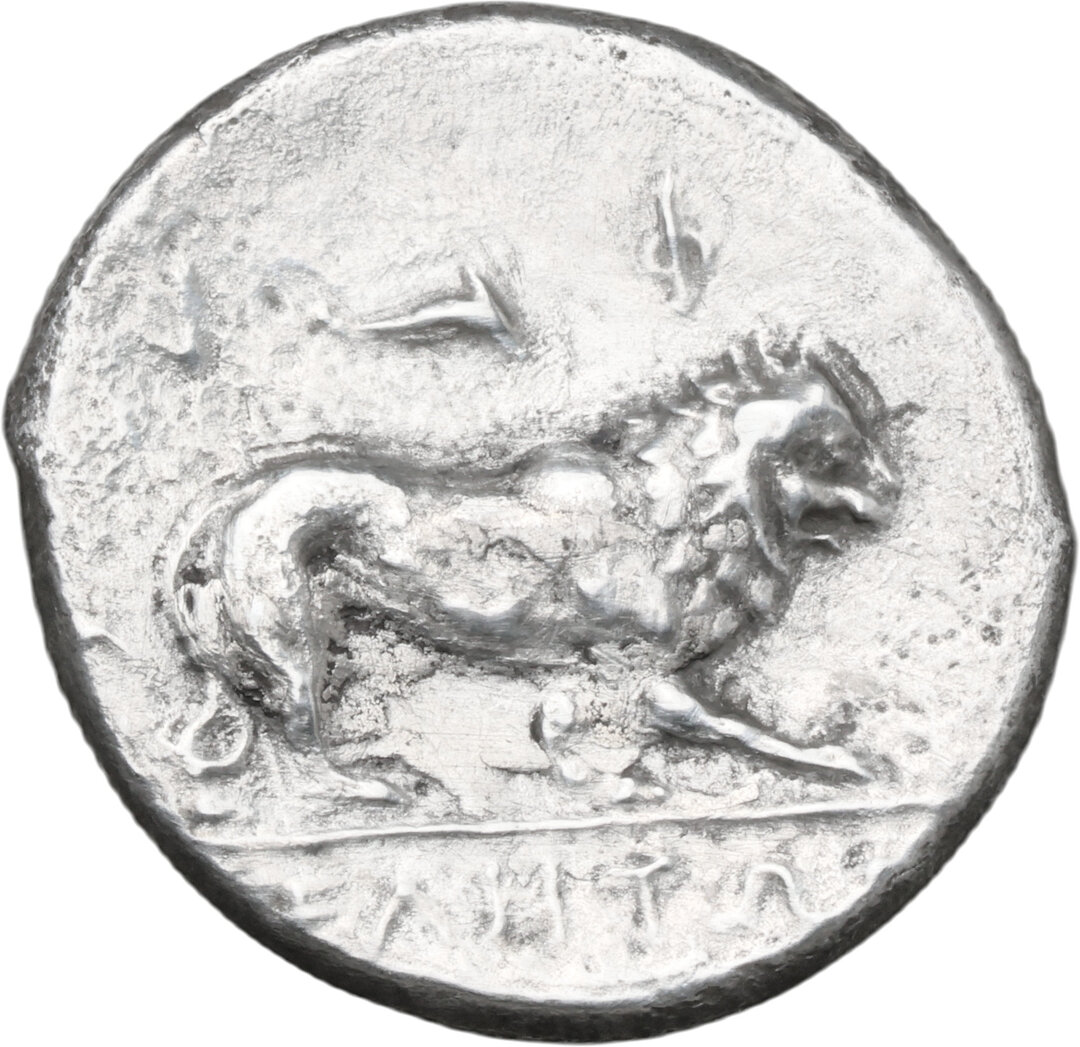 Rovescio moneta