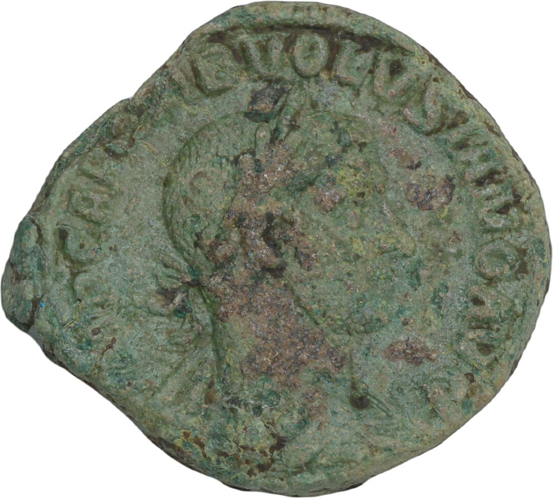Dritto moneta