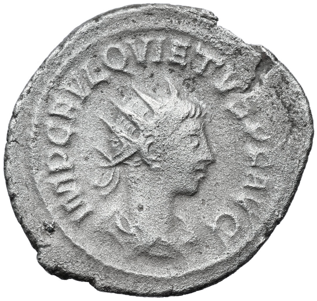 Dritto moneta