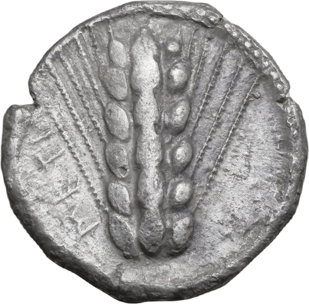 Dritto moneta