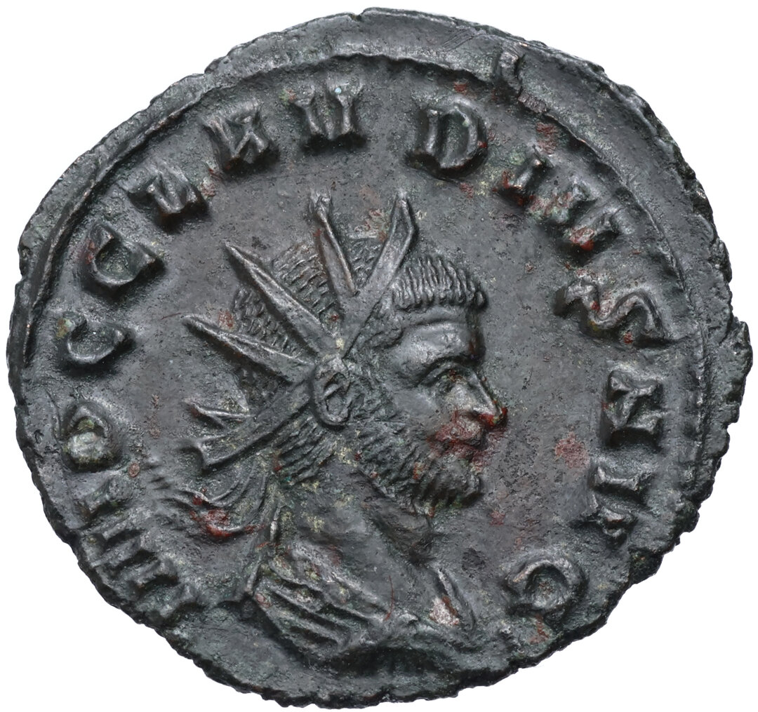 Dritto moneta