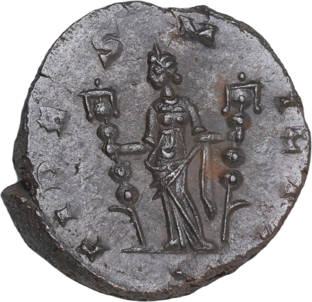 Rovescio moneta