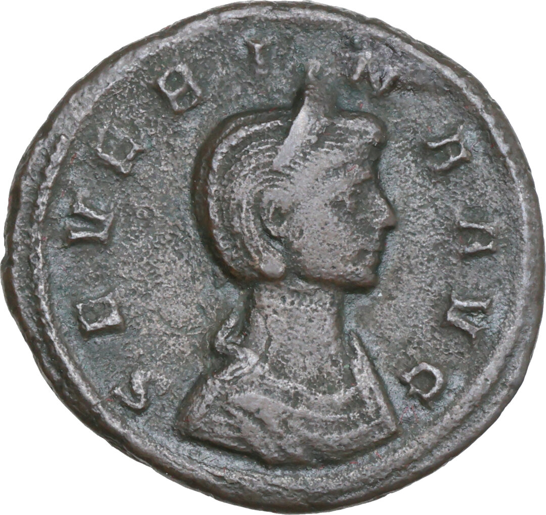 Dritto moneta