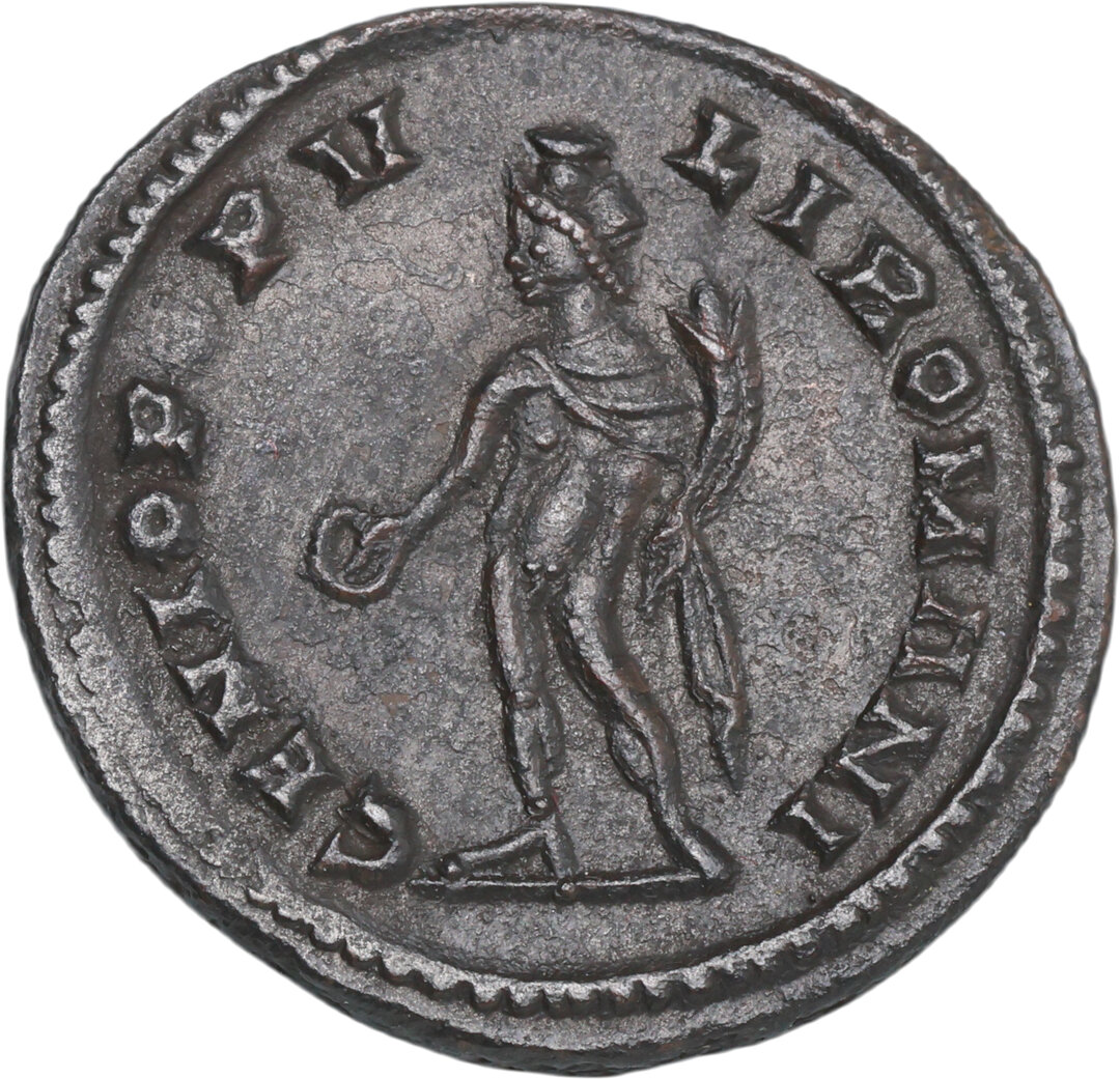 Rovescio moneta