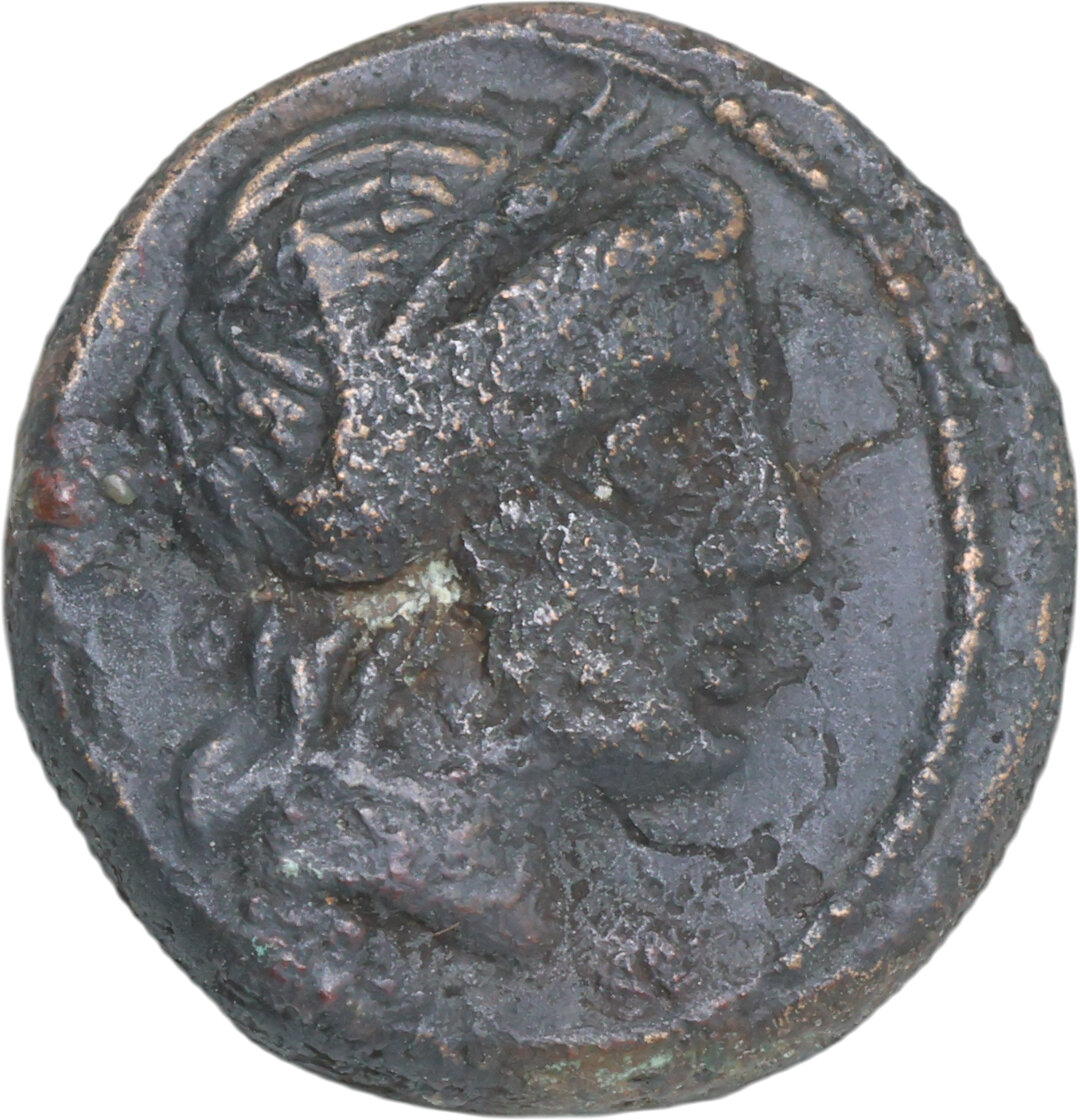 Dritto moneta