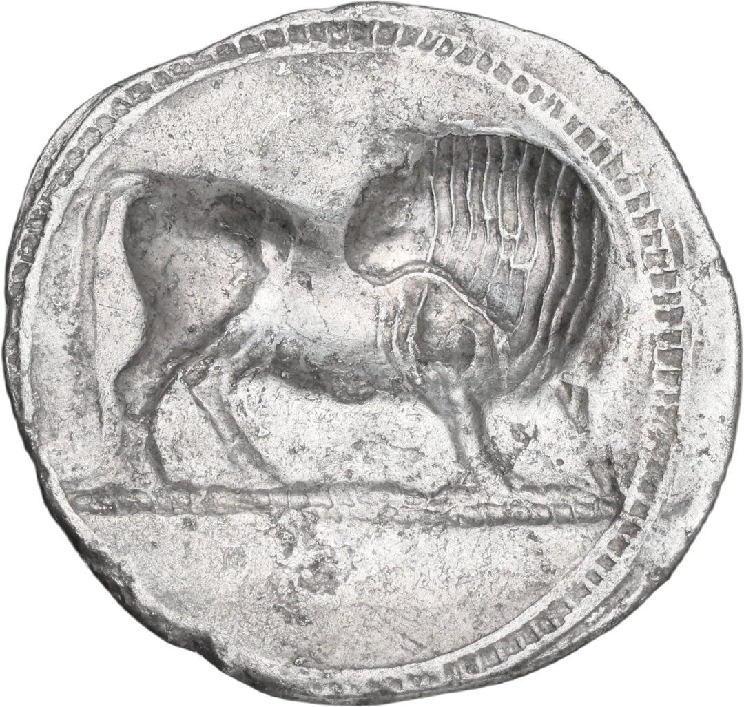 Rovescio moneta