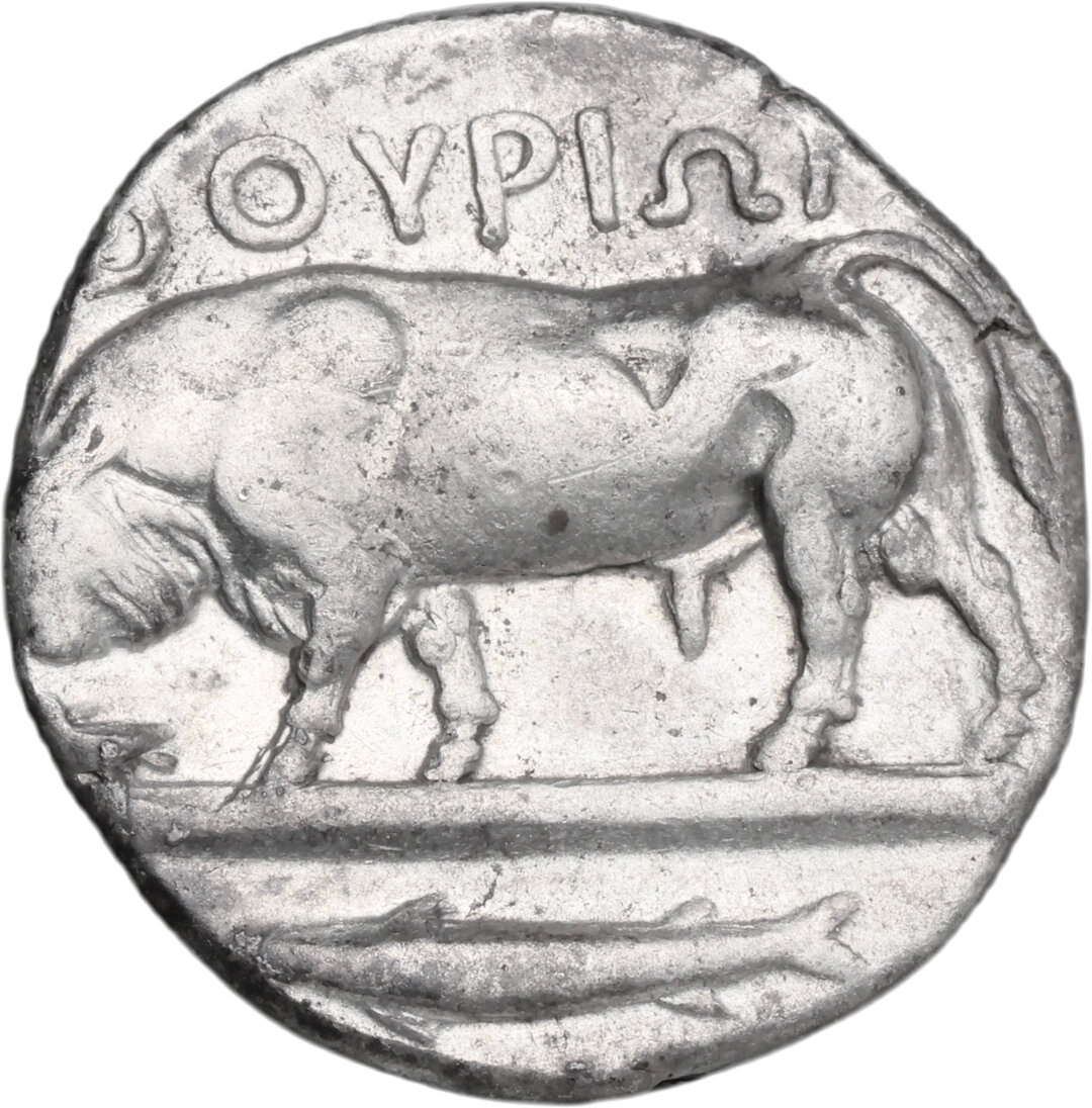 Rovescio moneta