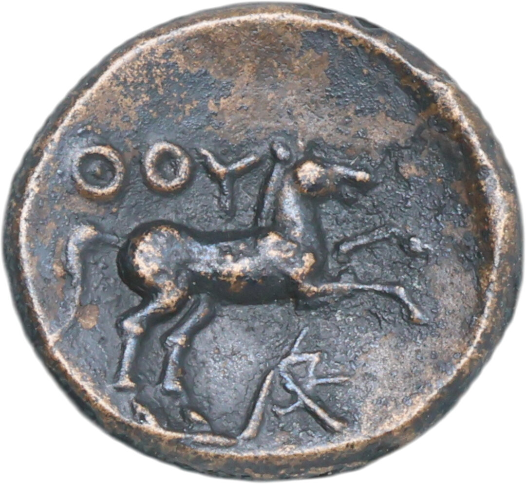 Rovescio moneta