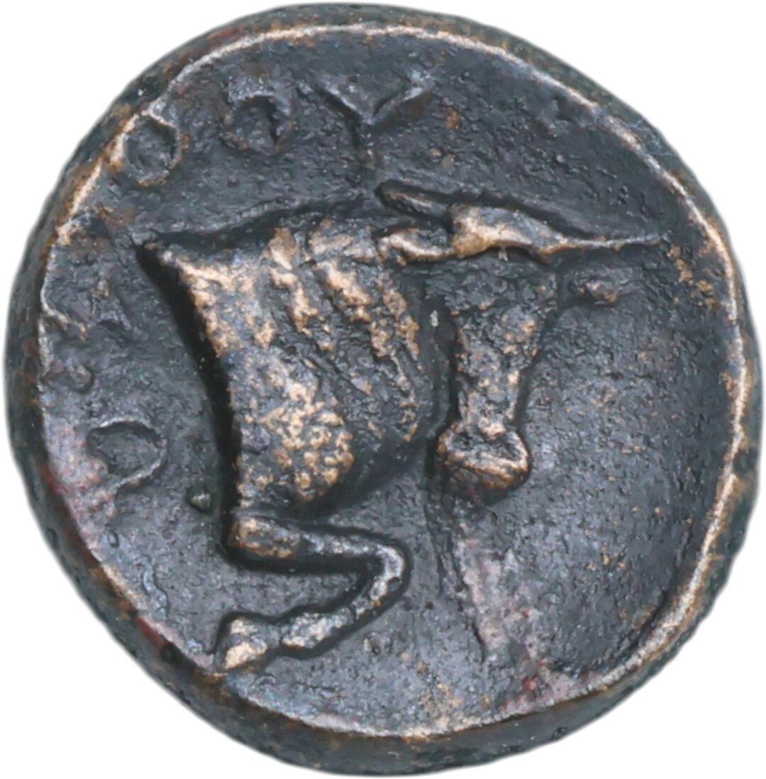 Rovescio moneta