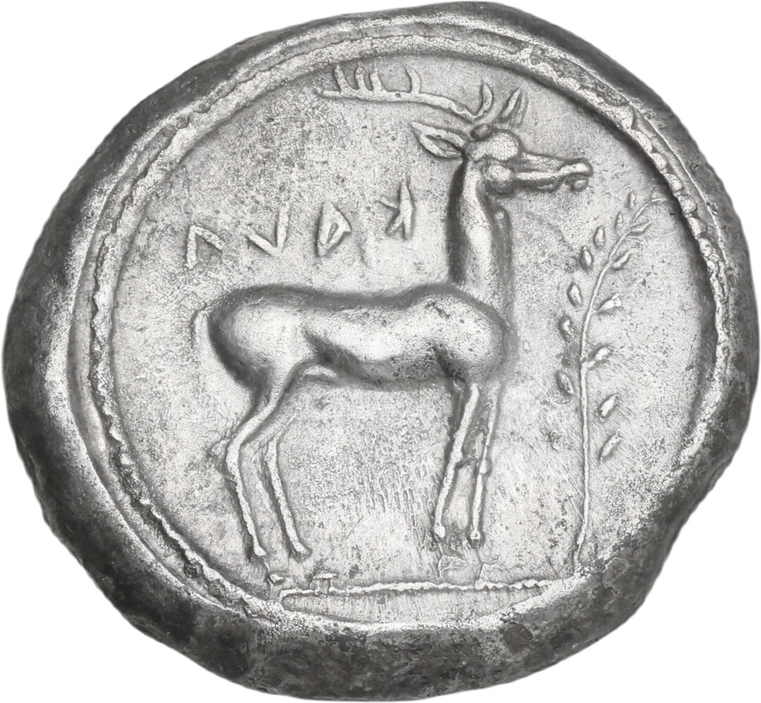 Rovescio moneta