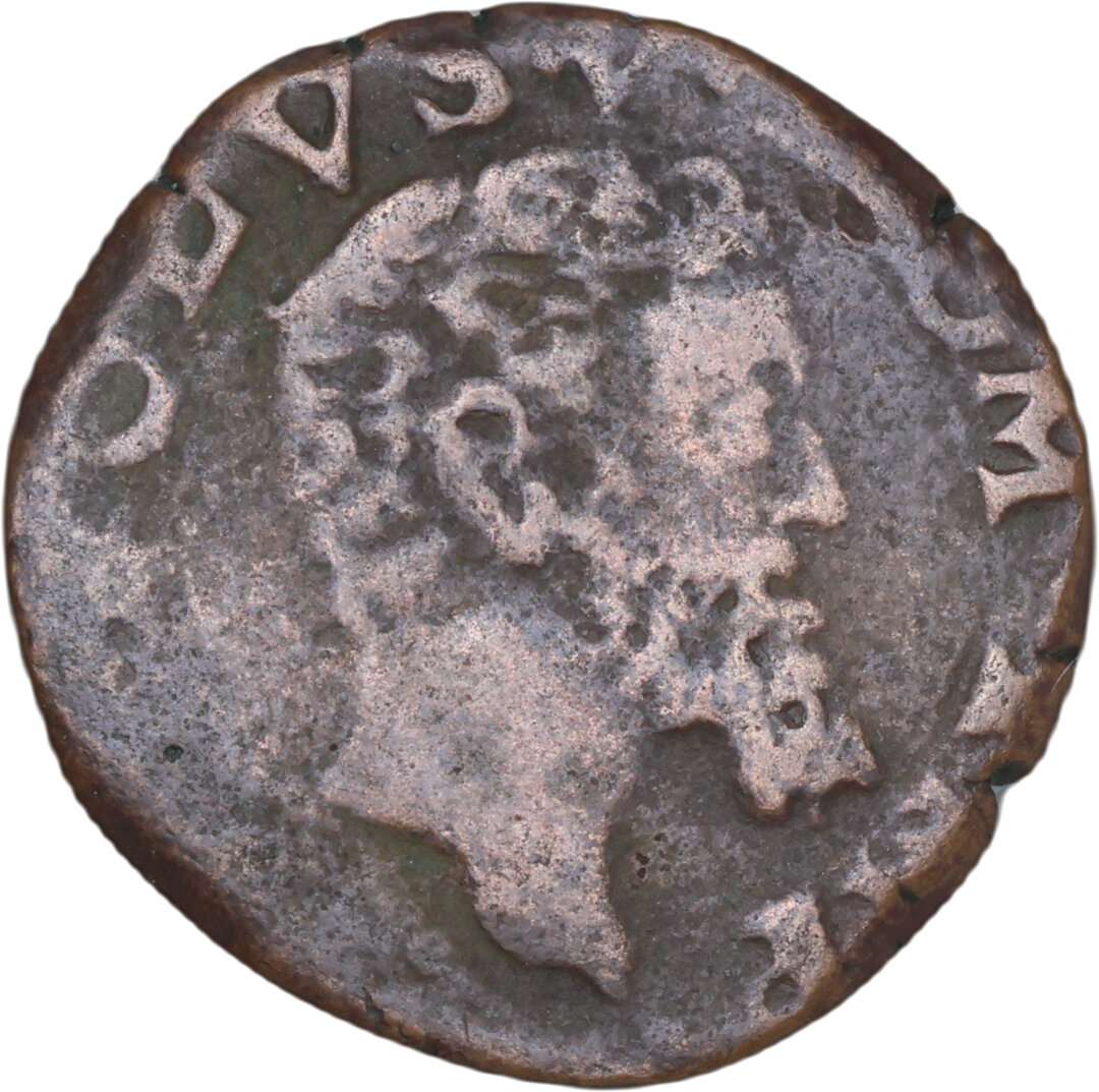 Dritto moneta