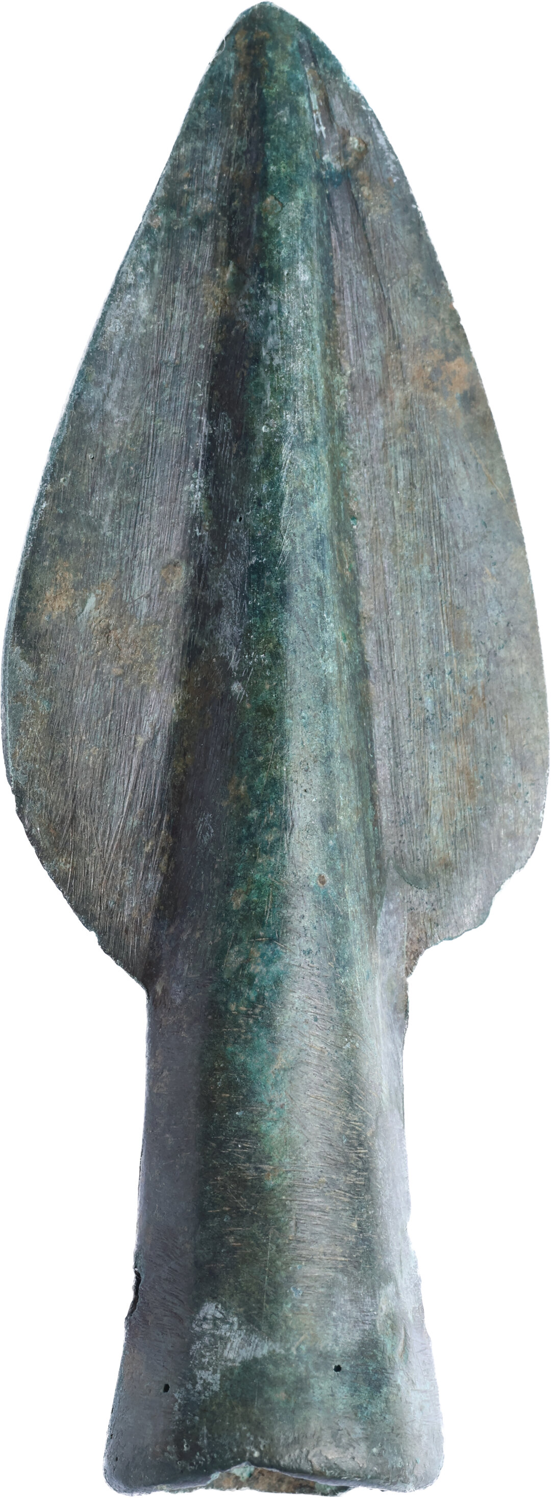 Dritto moneta
