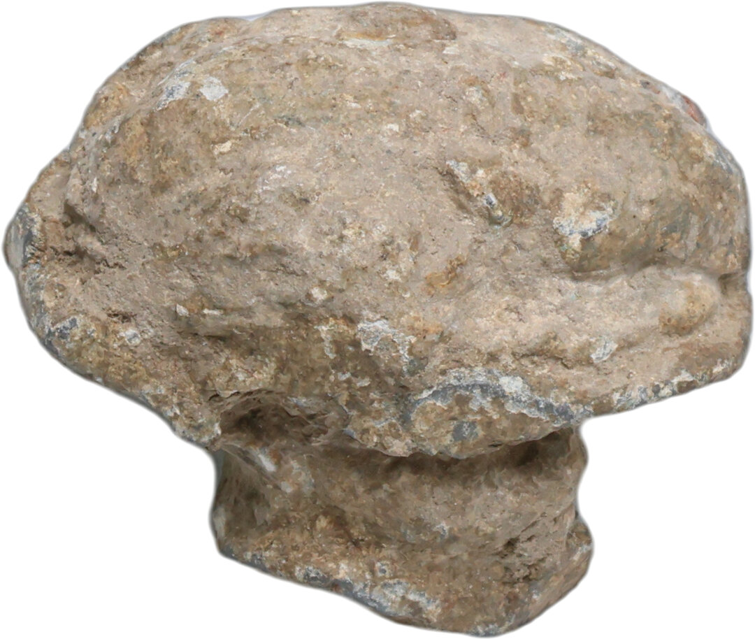 Dritto moneta