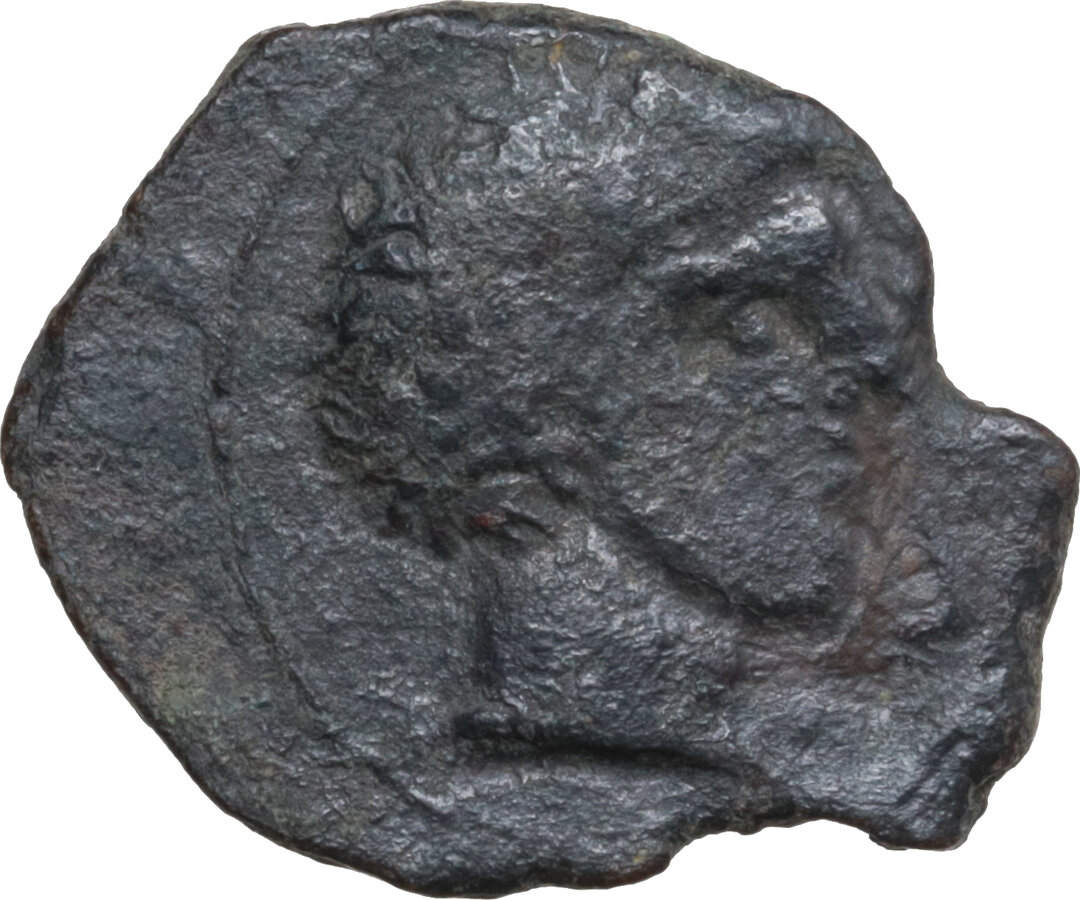 Dritto moneta