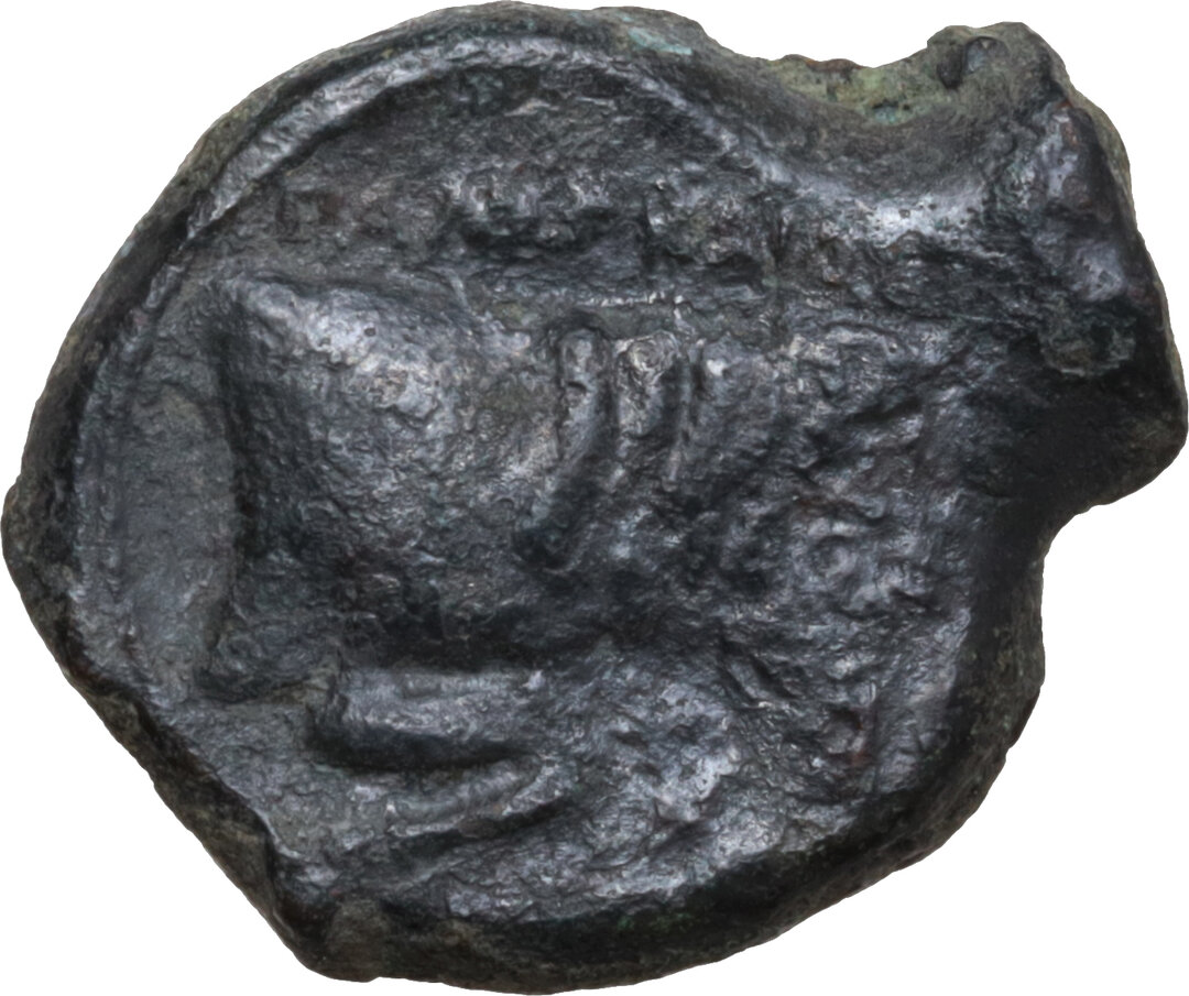 Rovescio moneta
