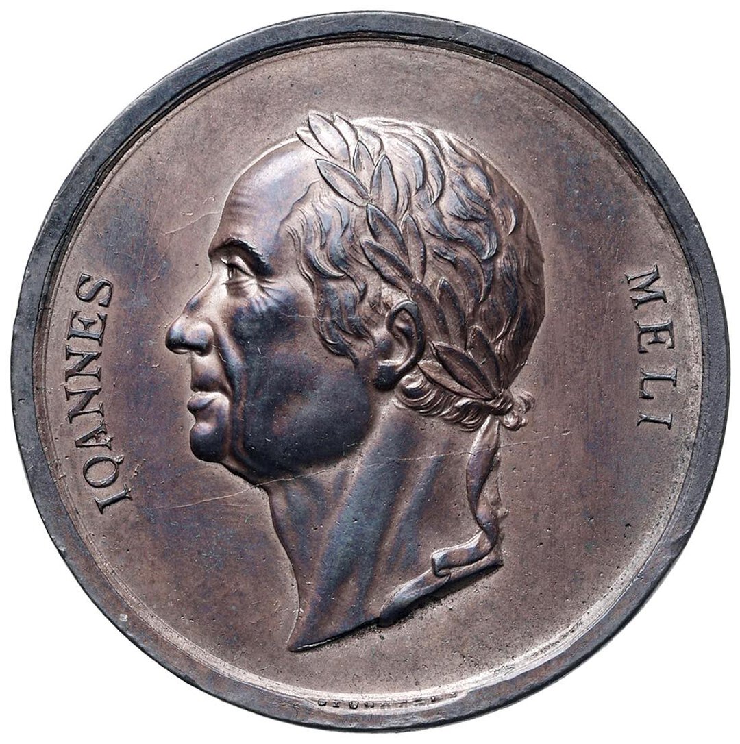 Dritto moneta