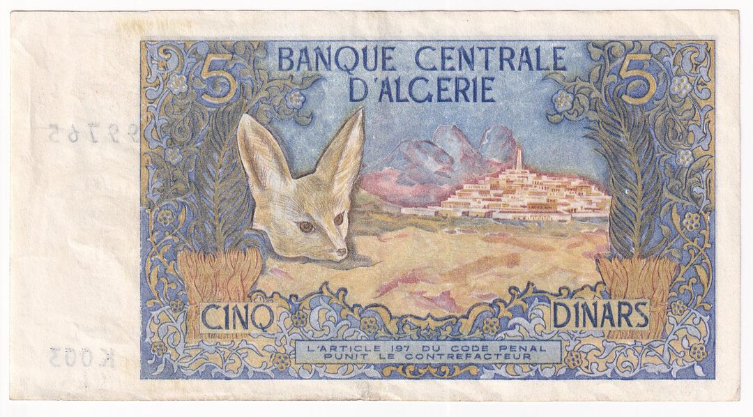 Dritto moneta