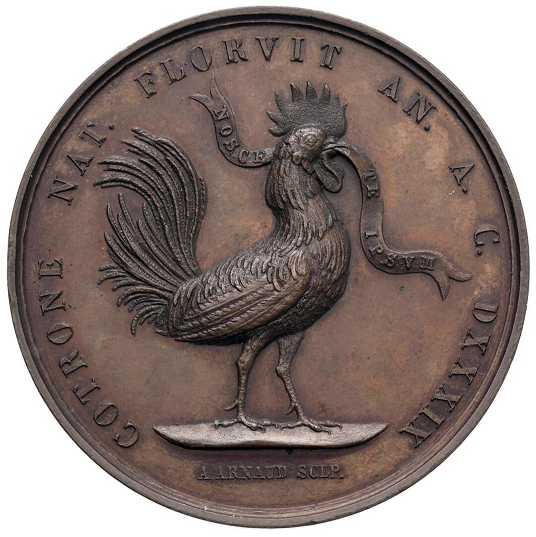 Rovescio moneta