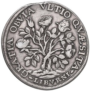 Immagine rovescio
