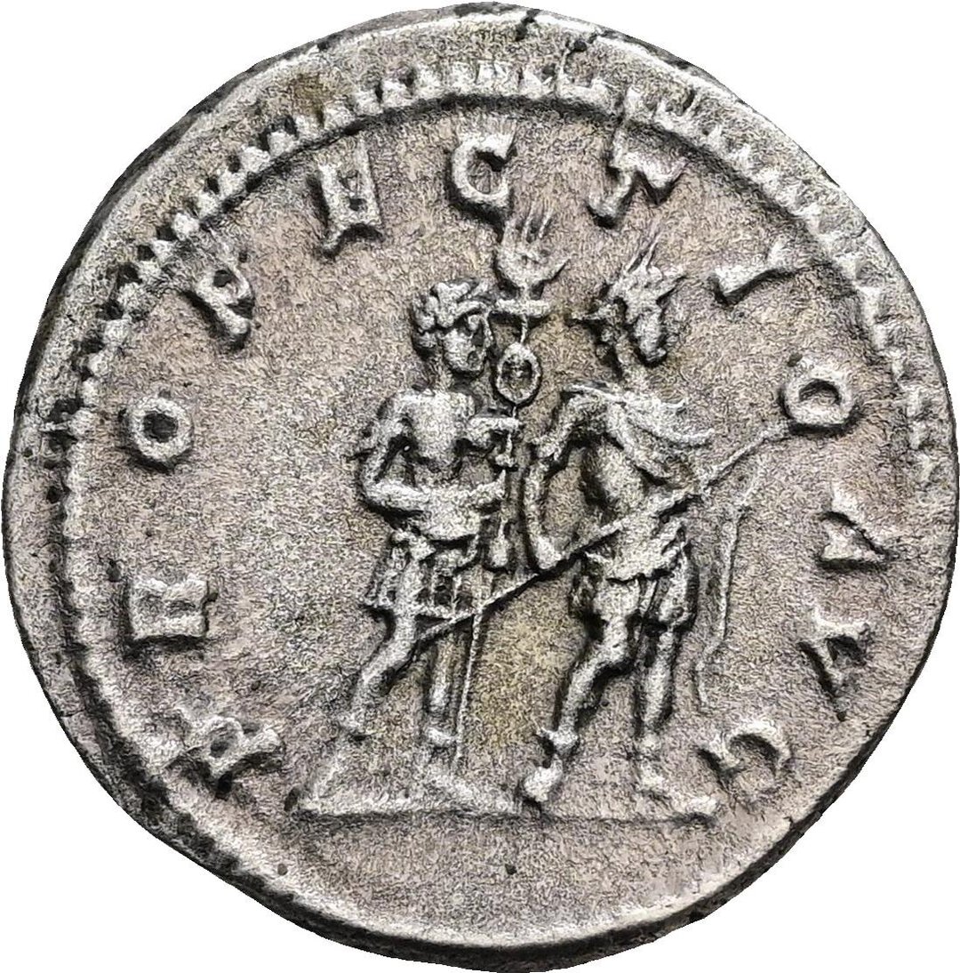 Rovescio moneta