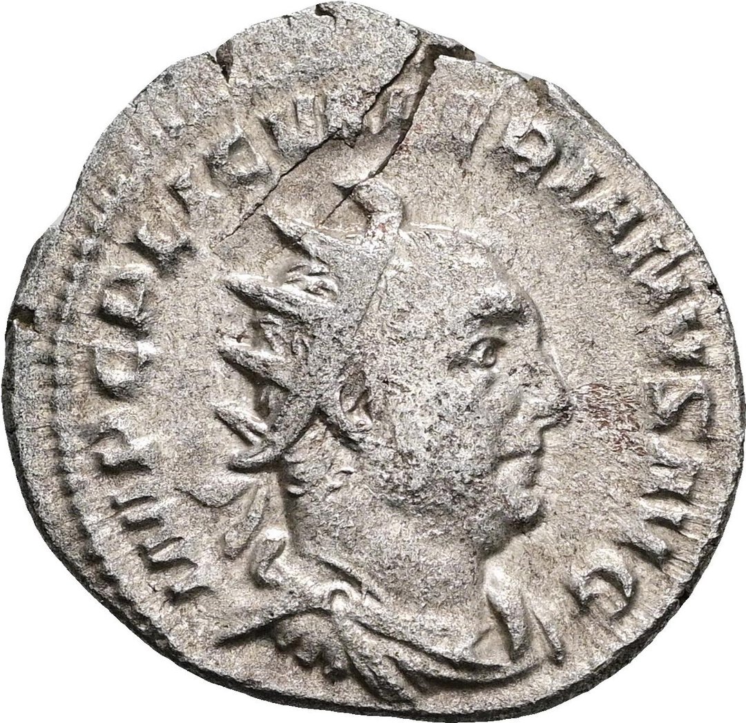 Dritto moneta