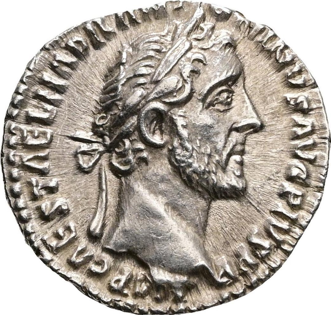 Dritto moneta