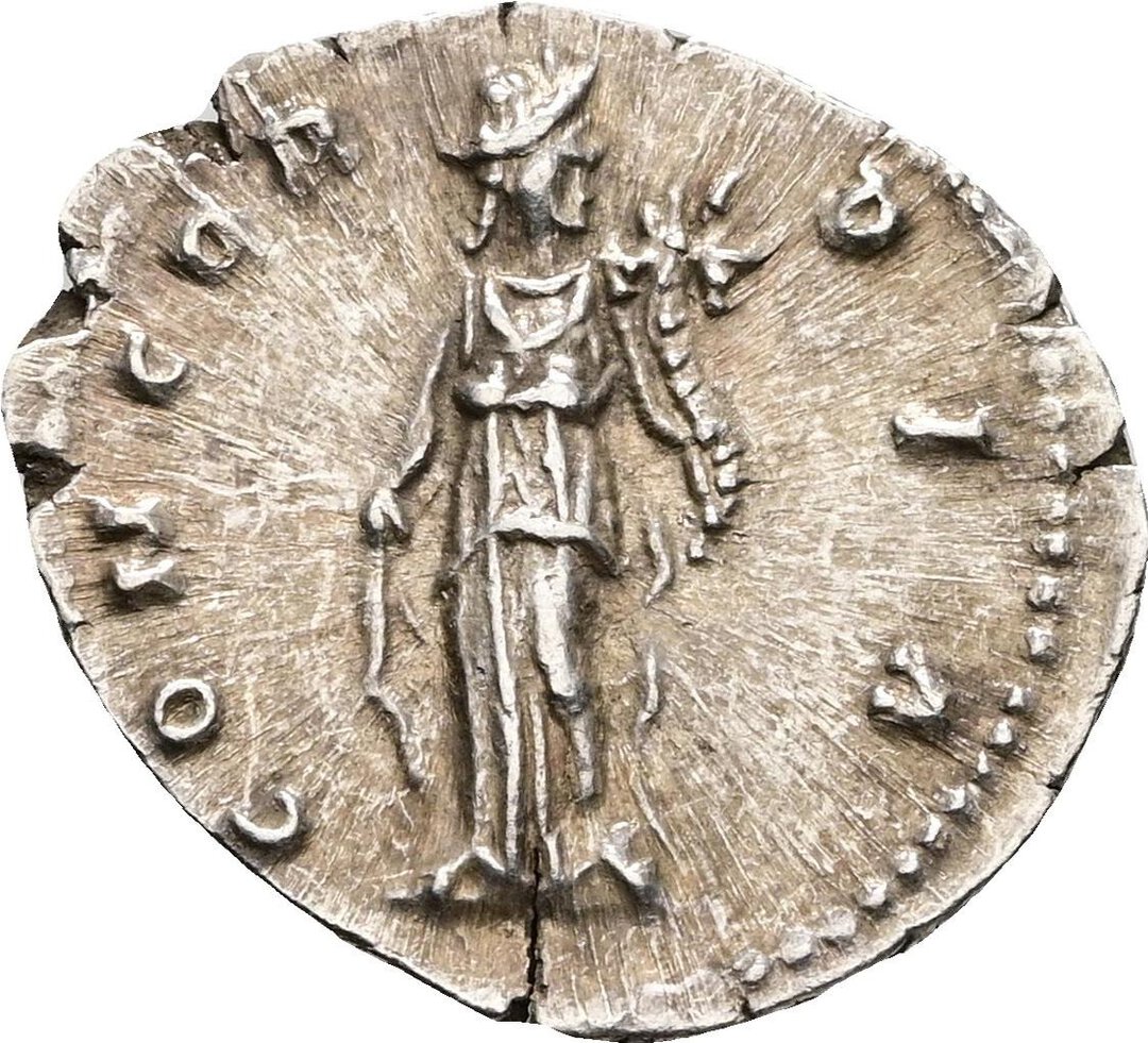Rovescio moneta