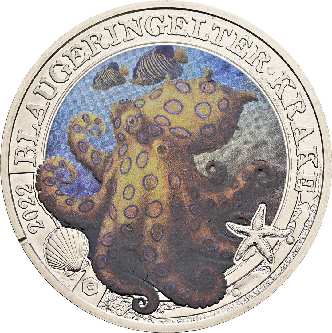 Dritto moneta