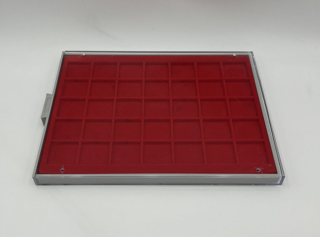 Dritto moneta