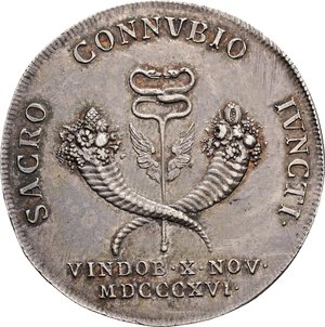 Immagine rovescio