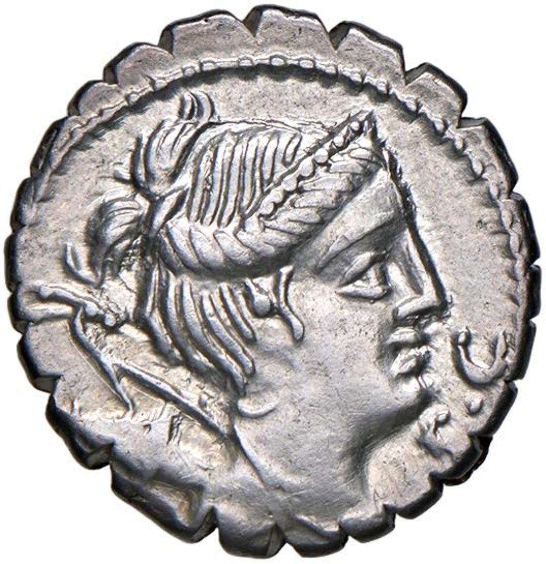 Dritto moneta