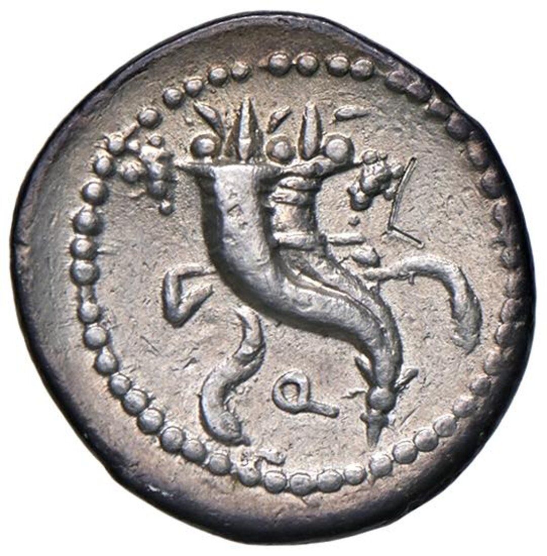Rovescio moneta