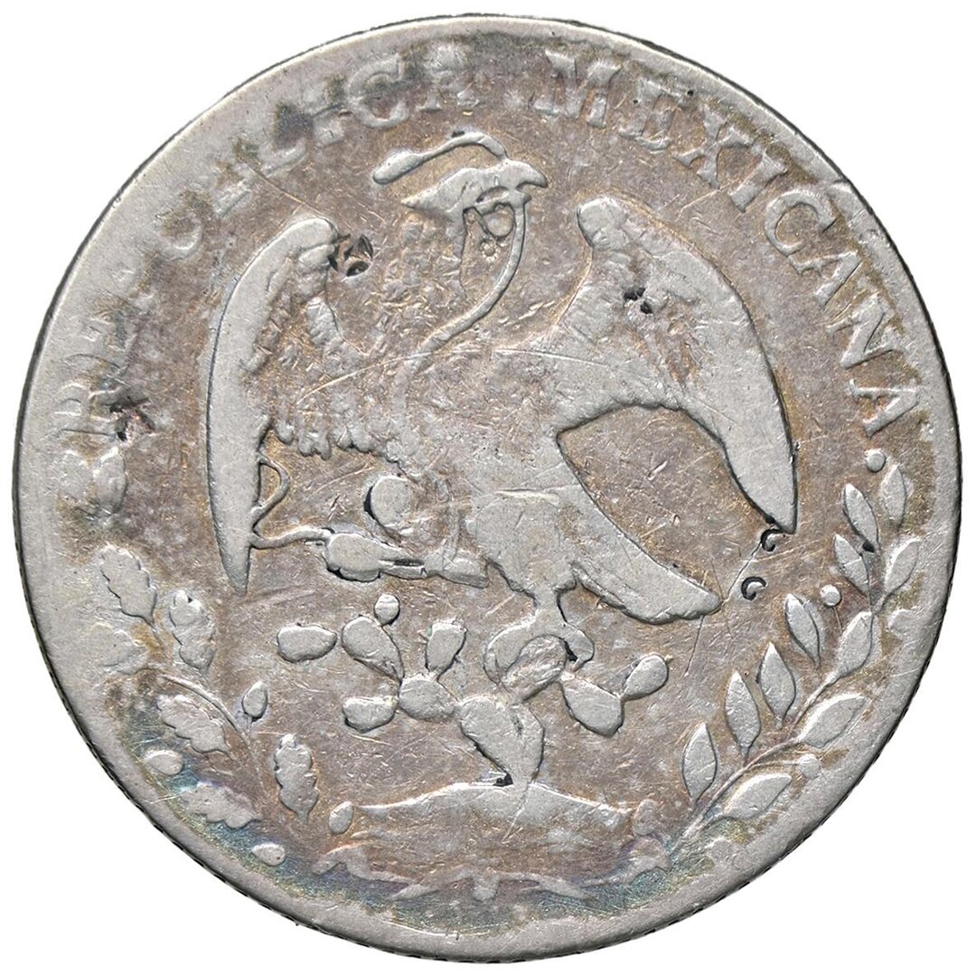 Dritto moneta